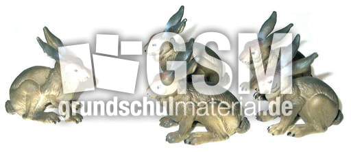 Hasen1+4.jpg